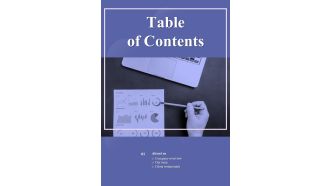 Table Of Contents Big Analytics Project Proposal One Pager Sample Example Document