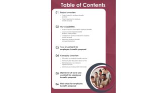 Table Of Contents Employee Perk Administration Proposal One Pager Sample Example Document