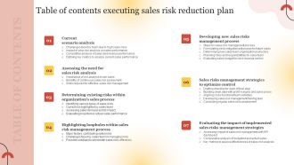 Table Of Contents Executing Sales Risk Reduction Plan Slides PDF