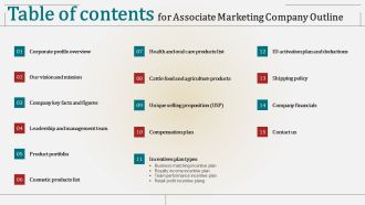 Table Of Contents For Associate Marketing Company Outline Pictures PDF