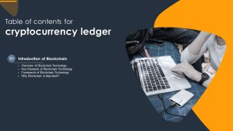 Table Of Contents For Cryptocurrency Ledger Key Guidelines PDF