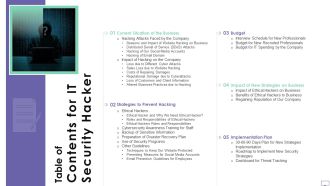 Table Of Contents For IT Security Hacker Background PDF