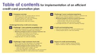 Table Of Contents For Implementation Of An Efficient Credit Card Promotion Plan Background PDF