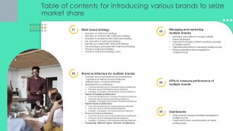 Table Of Contents For Introducing Various Brands To Seize Market Share Elements PDF