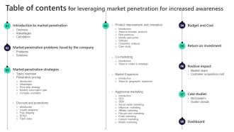 Table Of Contents For Leveraging Market Penetration For Increased Awareness Guidelines PDF
