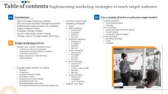 Table Of Contents Implementing Marketing Strategies To Reach Target Audience Inspiration PDF