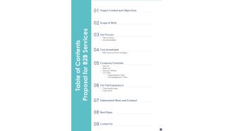 Table Of Contents Proposal For B2B Services One Pager Sample Example Document