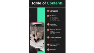 Table Of Contents Proposal For Cargo Inspection Software Package One Pager Sample Example Document