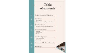 Table Of Contents Proposal For Staff Apprenticeship Program One Pager Sample Example Document