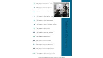 Table Of Contents Public Awareness Campaign Proposal One Pager Sample Example Document