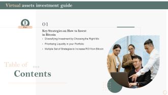 Table Of Contents Virtual Assets Investment Guide Ppt Professional Model PDF
