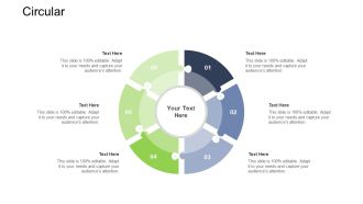Tactical Merger Circular Ppt Ideas Example Topics PDF