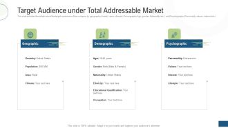 Target Audience Under Total Addressable Market Ppt File Graphics Template PDF