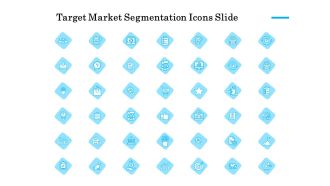 Target Market Segmentation Icons Slide Ppt PowerPoint Presentation Slides Tips PDF