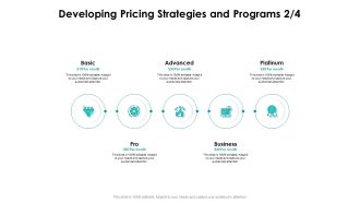 Target Market Strategy Developing Pricing Strategies And Programs Basic Ppt Infographics Infographics PDF