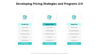 Target Market Strategy Developing Pricing Strategies And Programs Plan Ppt Ideas PDF