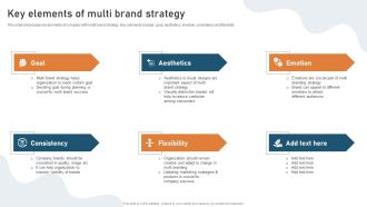 Targeted Market Entry Strategy Key Elements Of Multi Brand Strategy Professional PDF