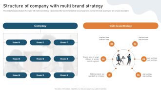 Targeted Market Entry Strategy Structure Of Company With Multi Brand Strategy Download PDF