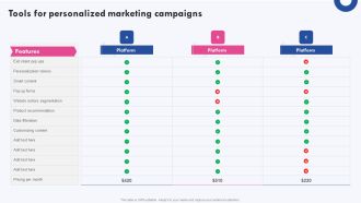 Targeted Marketing Campaigns To Improve Buyers Experience Tools For Personalized Marketing Campaigns Professional PDF