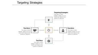 Targeting Strategies Ppt Powerpoint Presentation Show Graphics Cpb