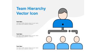 Team Hierarchy Vector Icon Ppt PowerPoint Presentation Layouts Show