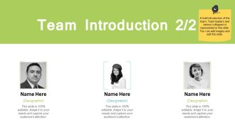 Team Introduction Marketing Ppt PowerPoint Presentation File Background Designs