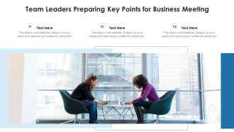 Team Leaders Preparing Key Points For Business Meeting Ppt PowerPoint Presentation File Vector PDF