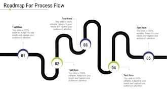Technology Facility Maintenance And Provider Roadmap For Process Flow Ppt Summary Background Image PDF