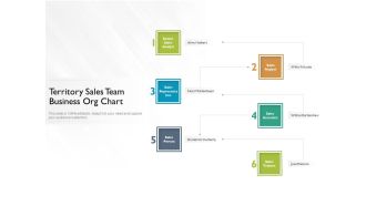 Territory Sales Team Business Org Chart Ppt PowerPoint Presentation File Guide PDF