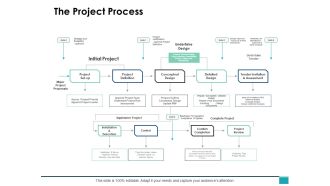 The Project Process Ppt PowerPoint Presentation Infographics Deck