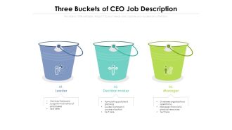 Three Buckets Of CEO Job Description Ppt PowerPoint Presentation Gallery Topics PDF