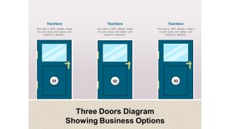 Three Doors Diagram Showing Business Options Ppt PowerPoint Presentation Icon Professional