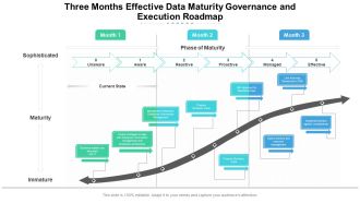 Three Months Effective Data Maturity Governance And Execution Roadmap Themes