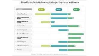 Three Months Flexibility Roadmap For Project Preparation And Finance Information