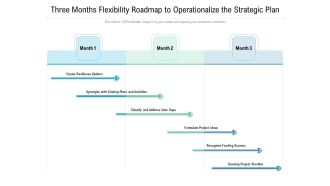 Three Months Flexibility Roadmap To Operationalize The Strategic Plan Graphics