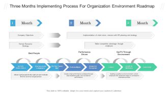 Three Months Implementing Process For Organization Environment Roadmap Professional PDF