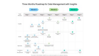 Three Months Roadmap For Data Management With Insights Professional