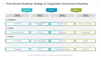 Three Months Roadmap Strategy For Organization Environment Roadmap Graphics PDF
