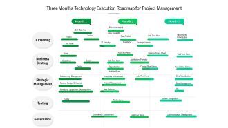 Three Months Technology Execution Roadmap For Project Management Summary