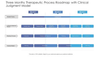 Three Months Therapeutic Process Roadmap With Clinical Judgment Model Mockup