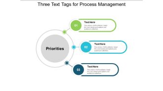 Three Text Tags For Process Management Ppt PowerPoint Presentation Portfolio Background Designs