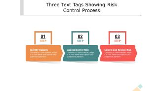 Three Text Tags Showing Risk Control Process Ppt PowerPoint Presentation Icon Background Images PDF