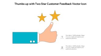 Thumbs Up With Two Star Customer Feedback Vector Icon Ppt PowerPoint Presentation Portfolio Styles PDF