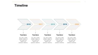 Timeline 2016 To 2020 Ppt PowerPoint Presentation Professional Icon