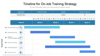 Timeline For On Job Training Strategy Ppt Gallery Layout PDF