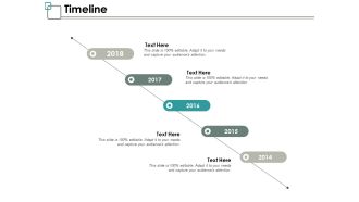 Timeline Ppt PowerPoint Presentation File Background Designs