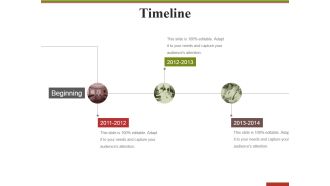 Timeline Template 1 Ppt PowerPoint Presentation Professional Format