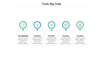 Tools Big Data Ppt PowerPoint Presentation Model Pictures Cpb
