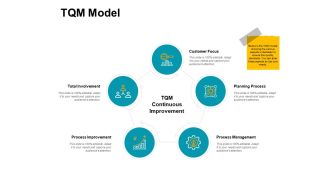 Tqm Model Security Process Ppt PowerPoint Presentation Infographic Template File Formats