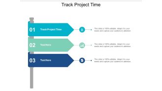 Track Project Time Ppt PowerPoint Presentation Layouts Designs Download Cpb